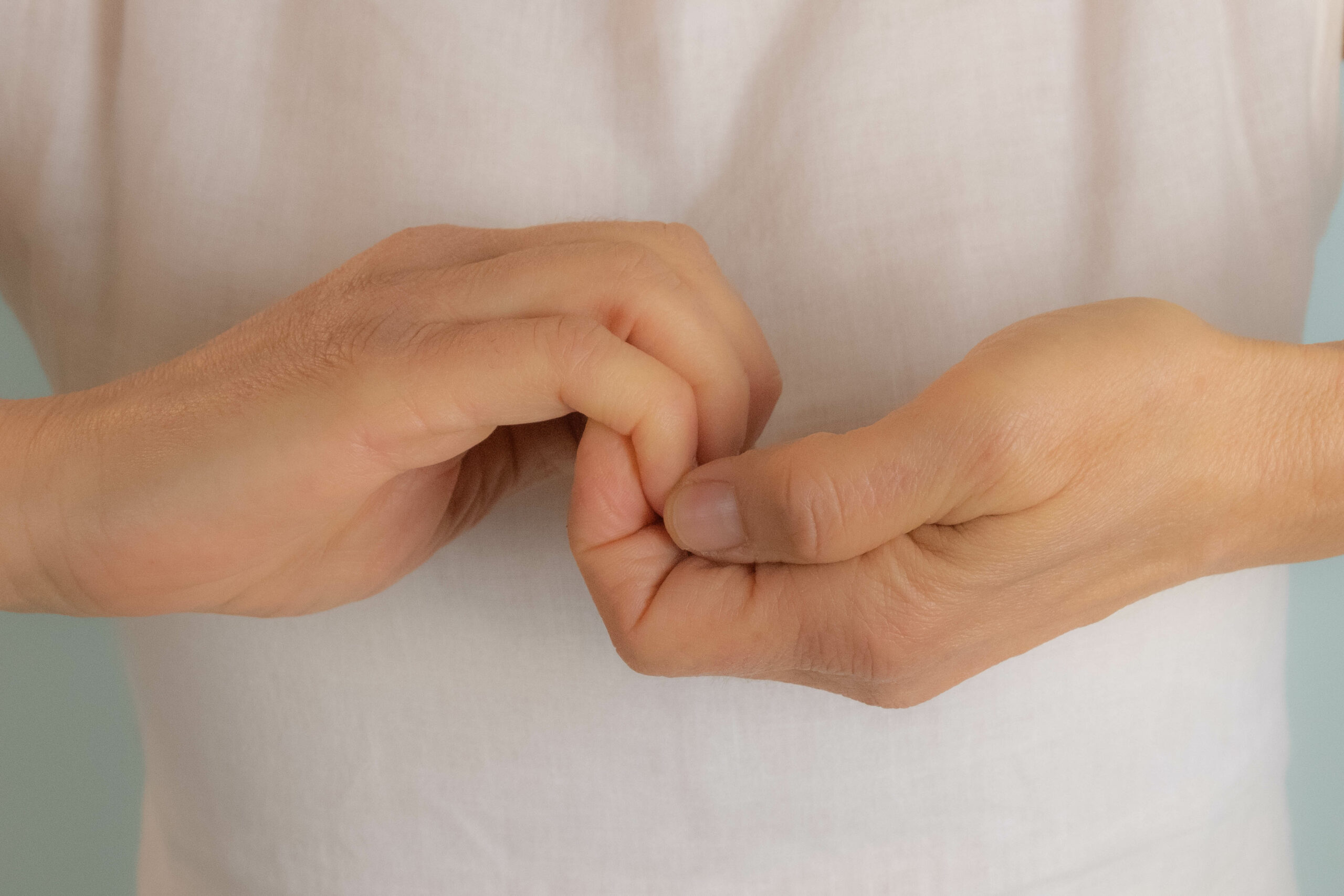 L’ALLINEAMENTO DELLE POLARITA’